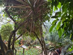 -南山植物园