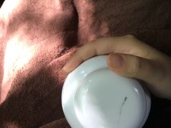 -翡翠森林宠物火化殡葬(通州店)