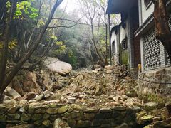 -老张烤羊(王哥庄店)