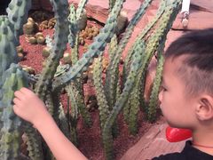 -南通洲际绿博园