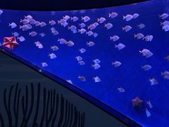 -沈阳海洋探索中心