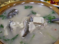 -煲来饱去冷水鱼
