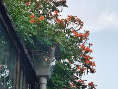 -北京国子监胡同