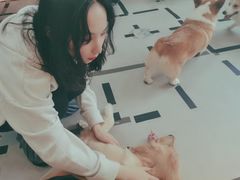 -汪说·狗咖(旺城大厦店)