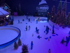 -世界之窗阿尔卑斯冰雪世界