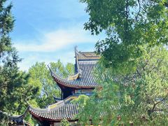 -西园寺素食(西园弄戒幢律寺店)