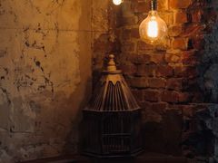 -鹿萤季·营地小馆(皇后公园店)