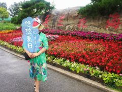 -荷兰花海