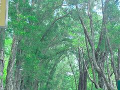 -麓湖高尔夫球俱乐部