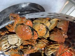 -曲水兰亭(北京四惠店)