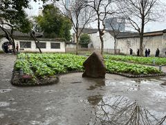 -绍兴鲁迅故里·沈园景区