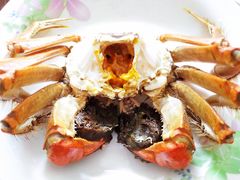 -七的湖·晚芳亭·阳澄湖农家菜·大闸蟹(莲花岛店)