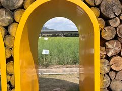 -光明小镇欢乐田园