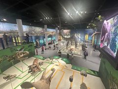 -国家自然博物馆