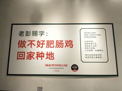 -晓彭肥肠鸡·泡椒鸡火锅(水木天地店)