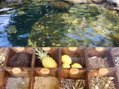 -厦门日月谷温泉渡假村