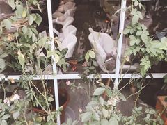 -小时光咖啡馆(北锣鼓巷店)