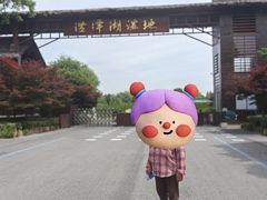 -泗洪洪泽湖湿地景区
