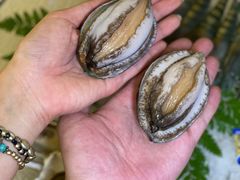 -白仁仔· 活烤海鲜 宵夜(豫园店)