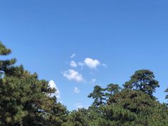 -清西陵