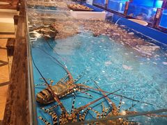 -银龙酒店-巴黎时光西餐厅