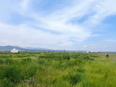 -敕勒川草原