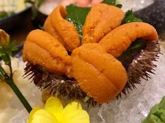 -隐泉京望日式料理(太和广场店)