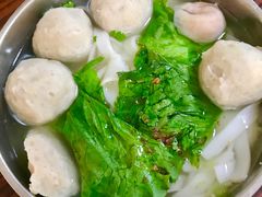 -蒂蒂香達濠魚丸