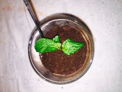 -望湘园·洞庭渔宴(永旺店)