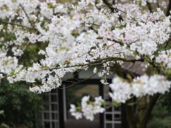 -中国茶叶博物馆(双峰馆区)