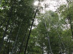 -南山风景名胜区