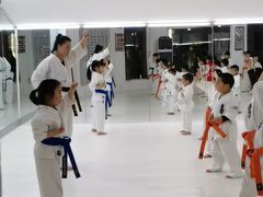 -极真空手道修远道场