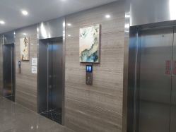 -威德钻石-克拉钻大本营(南京东路店)