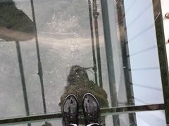 -梦幻奥陶纪景区