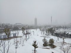 -葛仙湖公园