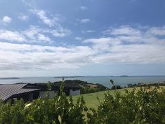 -怀希基岛