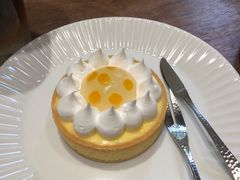 lemon&nbsp;lemon-猫里有甜