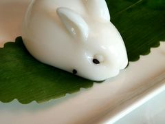 -唐阁海景中餐厅·早茶·粤菜•生日聚餐(海口朗廷酒店)