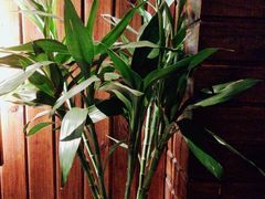 -润生源足道·SPA(个园店)