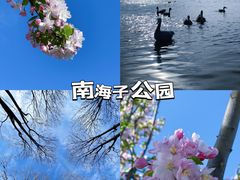 -南海子公园
