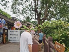 -五凤溪古镇