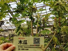 -呀路古热带植物园