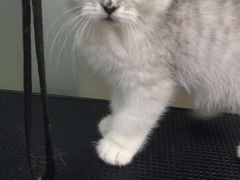 -宠爱有家宠物店(环镇北路店)