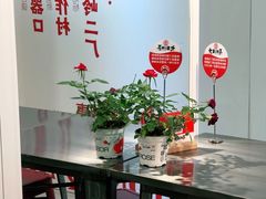 -大王油茶(二厂文创公园店)