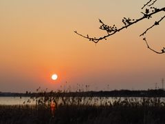 -苏州阳澄湖澜廷酒店-有景阁中餐厅