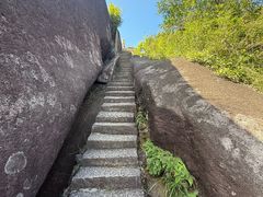 -玉苍山国家森林公园