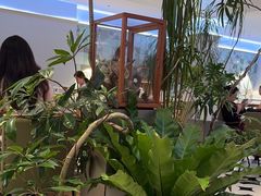 -一尺花园(安和花园店)