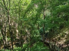 -大岭沟猕猴桃谷风景区