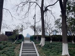 -钱江新城灯光秀