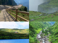 -大山包景区售票处